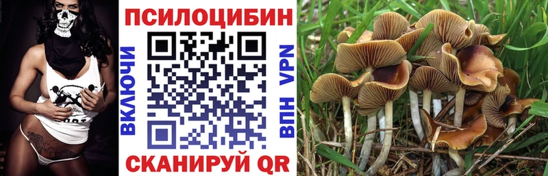 хочу наркоту  Можга  Псилоцибиновые грибы Psilocybe 